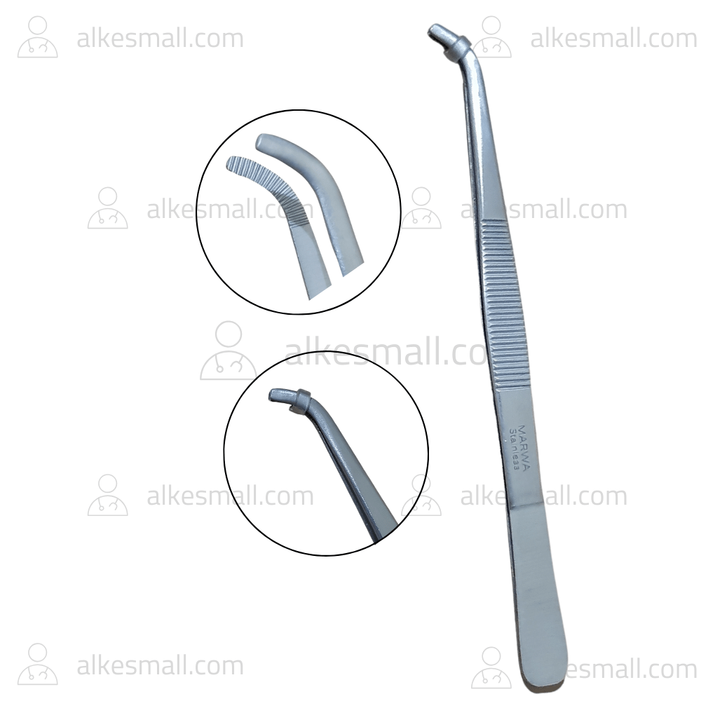 Pinset Anatomi Bengkok Pinset Spesimen Pinset Anatomi Marwa