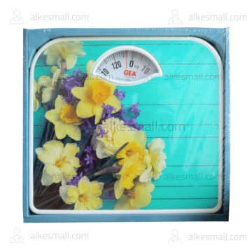 Timbangan Badan Manual GEA BR 2015