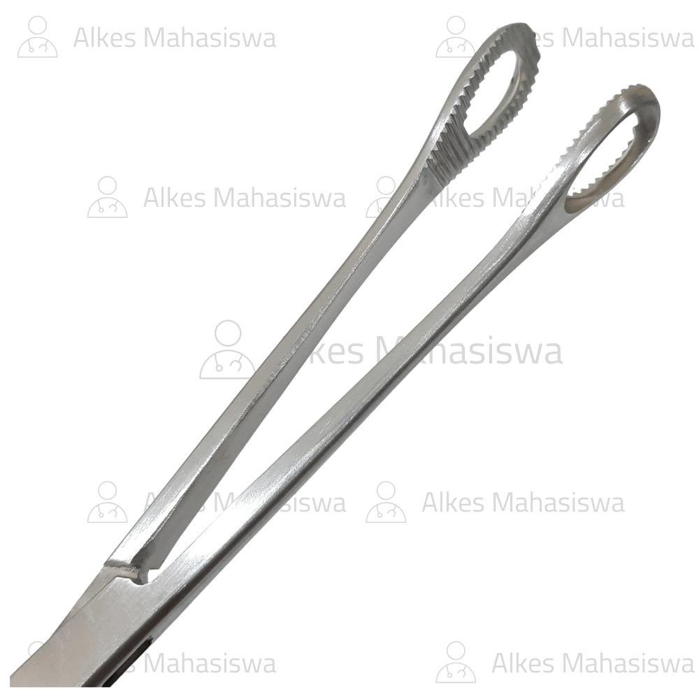Sponge Holding Foester Forcep Klem Pemegang Kapas Lurus 25cm Marwa