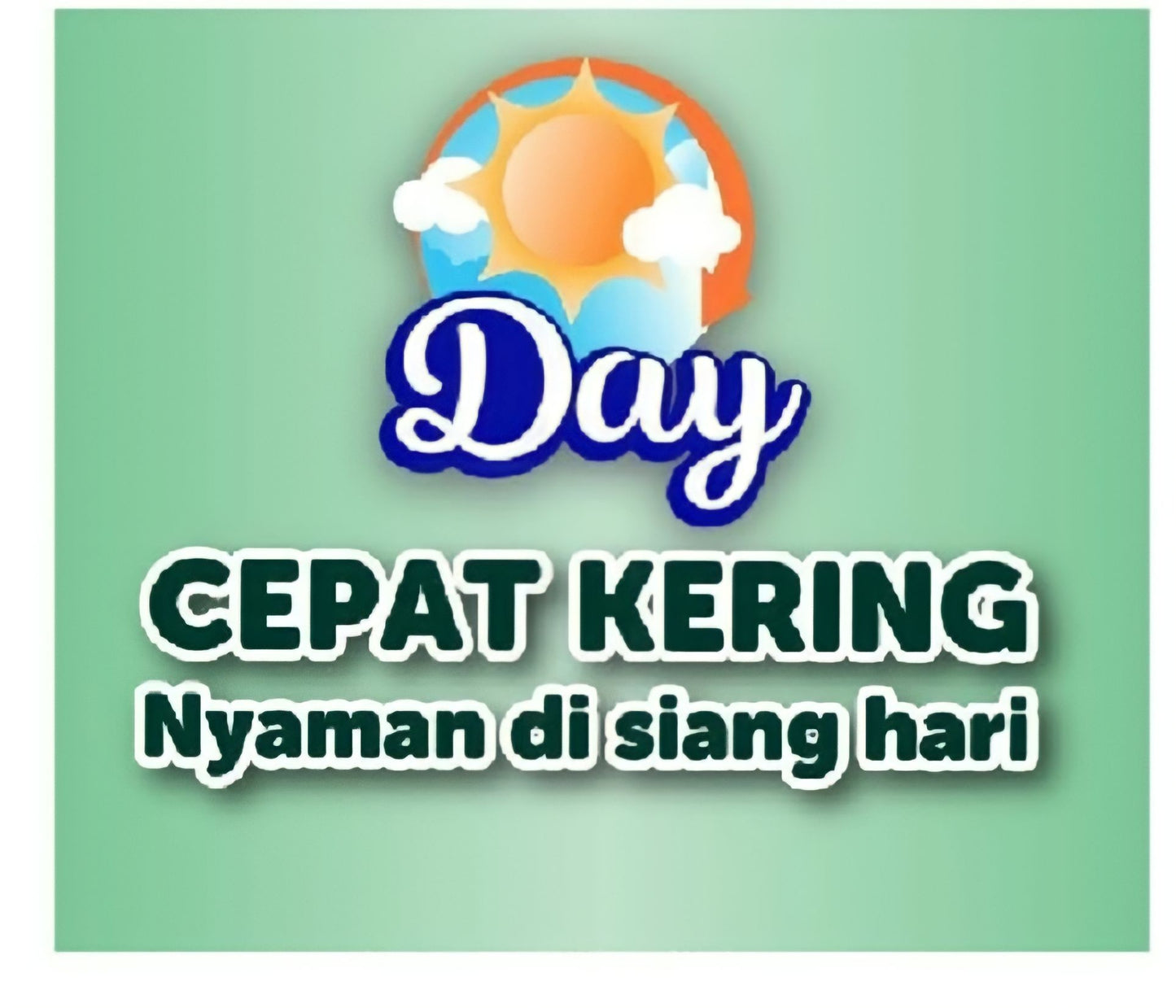 Popok Dewasa / Confidence Clasic Day